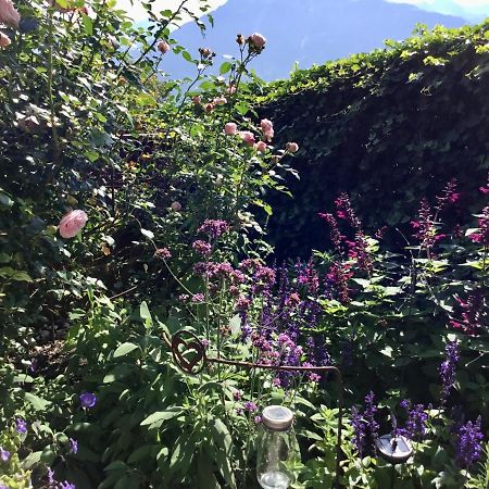 "Natur Pur" Ferienwohnung Mit Eigener Sauna Rons Dış mekan fotoğraf