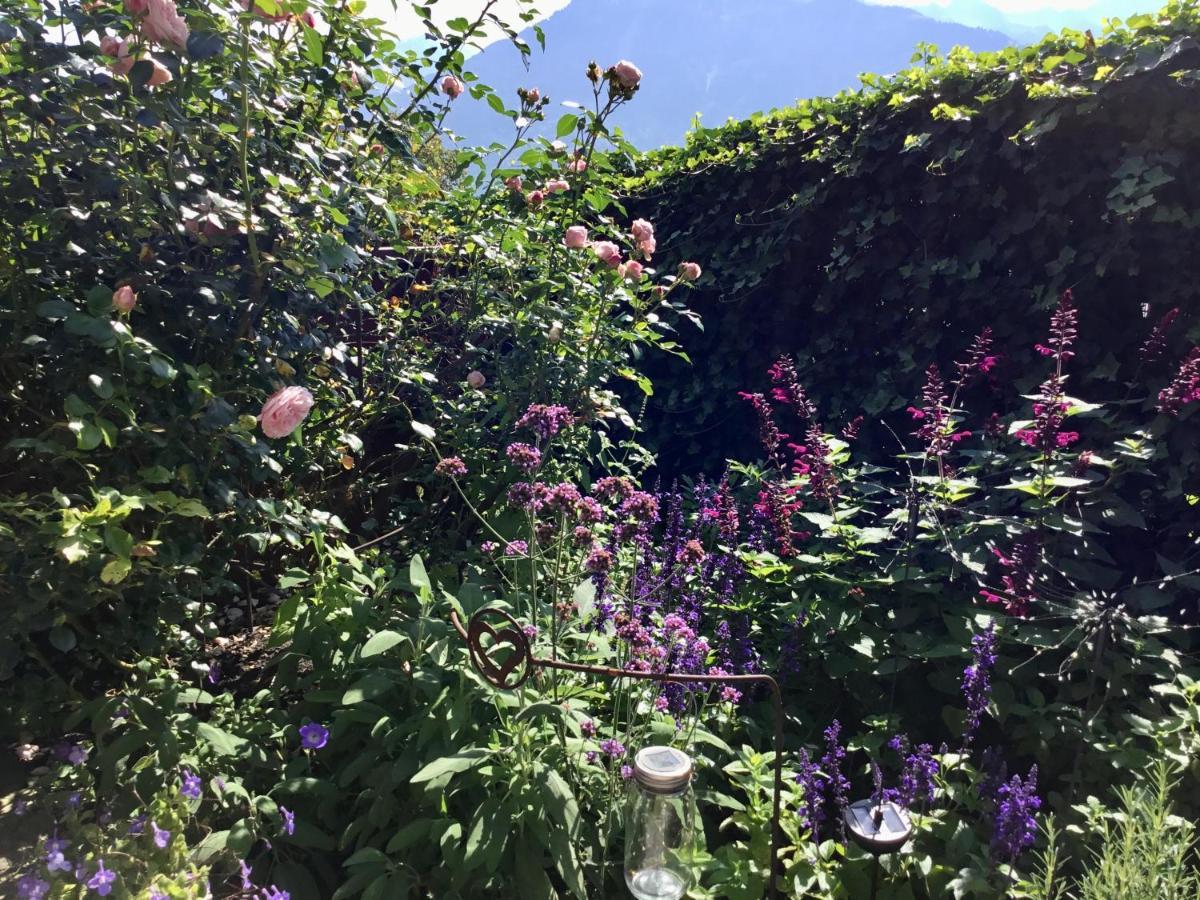 "Natur Pur" Ferienwohnung Mit Eigener Sauna Rons Dış mekan fotoğraf