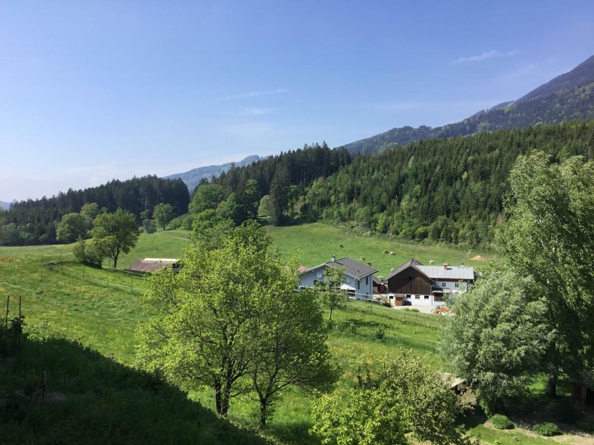 "Natur Pur" Ferienwohnung Mit Eigener Sauna Rons Dış mekan fotoğraf